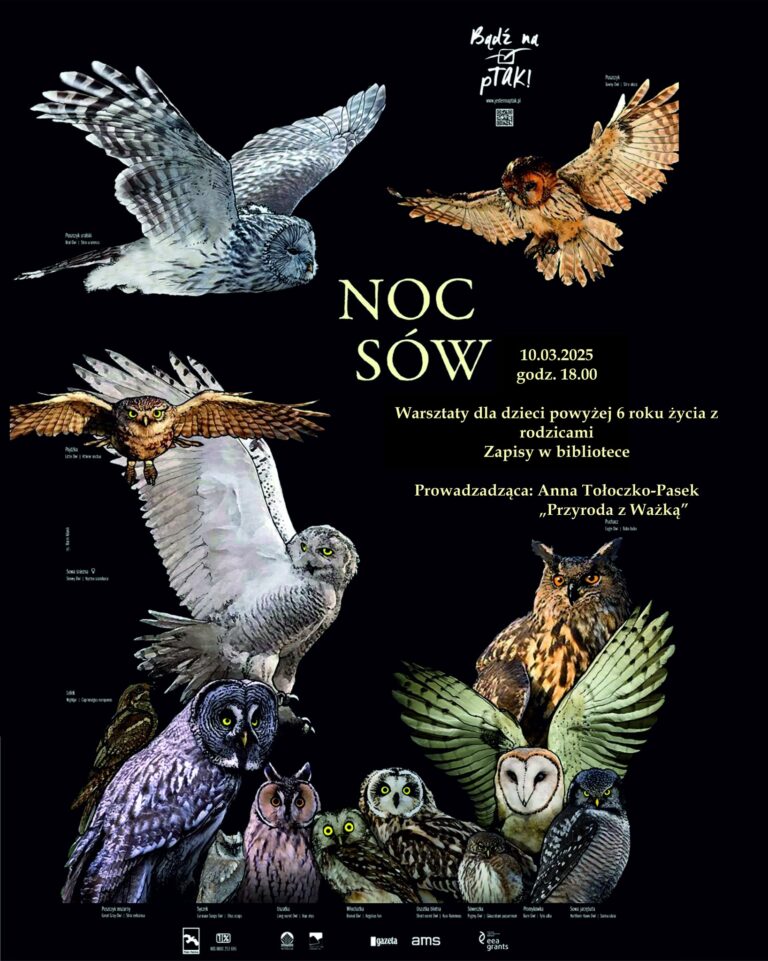 Noc Sów